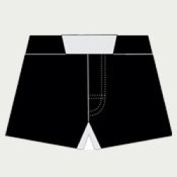 Fight Shorts