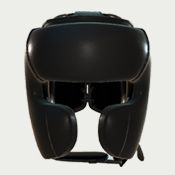 Head Guards