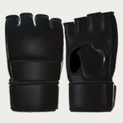 MMA Gloves